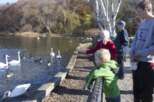 Family feeding corn to waterfowl at the Kellogg Bird Sanctuary