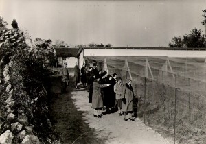 1930's group of people at Pheasant Pens by root cellar