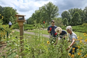 Sanctuary staff and volunteers tend to plants in the Sanctuary's Pollinator Garden