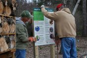 Volunteers installing the Native bee signage