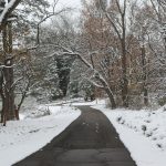 Snowy trail at the Kellogg Bird Sanctuary