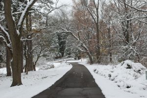 Snowy trail at the Kellogg Bird Sanctuary