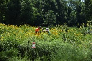 Volunteers in the Sanctuary's Pollinator Garden