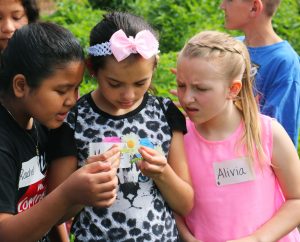 Students investigating nature