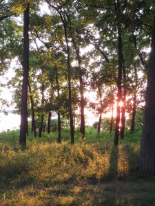 Sunset at Kellogg Biological Station