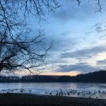 Morning view of Wintergreen Lake and waterfowl