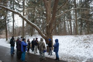 A group of learners at last year's Winter Tree ID workshop