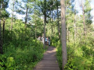 Field botany guests on the trail learning to identify plants along the trail