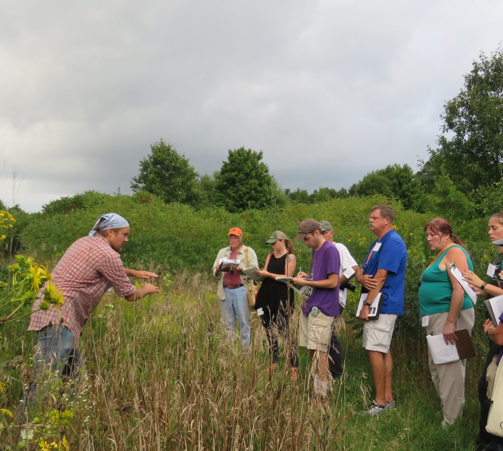 Native Grass Identification