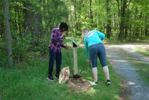 Installation of way-finding trail signs