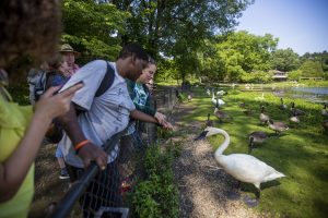 Guided Tour of Sanctuary grounds