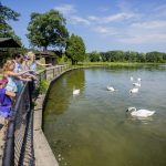 Children's group at Wintergreen Lake feeding swans