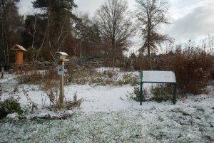 Snowy pollinator garden at the W.K. Kellogg Bird Sanctuary