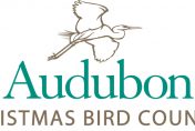 Audubon Christmas Bird Count Logo