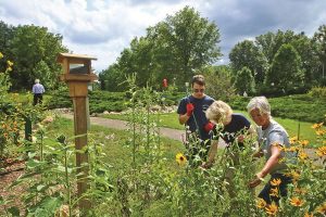 Volunteers tending to the Pollinator Garden
