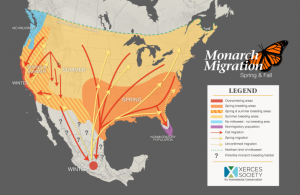 Monarch Migration Map