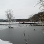 Kellogg Bird Sanctuary bridge with snow and frozen lake. Swans, ducks, and geese can be seen in the open water.