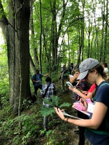 A group of people stand single file on a wooded trail, looking at field guides.