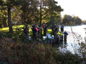 Conservation Steward group at Windmill Island