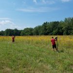 Boys monitoring nest boxes on the edge of a prarie