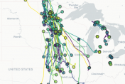 A map of the migration patterns of Trumpeter Swans in the Midwest
