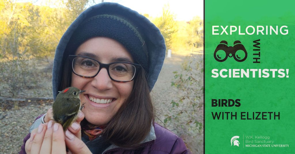 Elizeth Cinto-Mejía sits outdoors, looking down at a banded bird she's holding. Text overlay reads Exploring with Scientists! Birds with Elizeth.