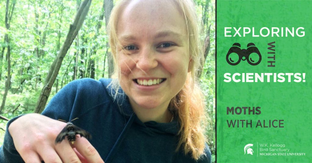 Alice Puchalsky smiles at the camera, showing off a moth that's landed on her hand. Text overlay reads Exploring with Scientists! Moths with Alice.