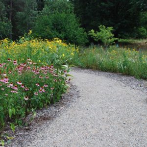 A gravel path winds through the Kellogg Bird Sanctuary's pollinator garden area.
