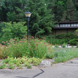 Pollinator-friendly plants grow in a garden area in front of the Kellogg Bird Sanctuary.