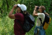 BioBlitz participants use binoculars to search for birds along the W.K. Kellogg Bird Sanctuary’s Bluebird Trail. Photo by Corinn Rutkoski
