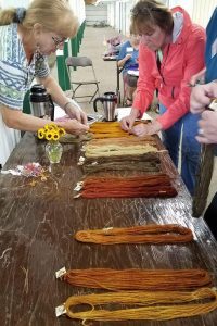 A small group of people exmine samples of yellow and orange colored fibers, treated with a dye made from coreopsis flowers, which are lying on a table.