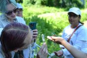 Two participants (left) photograph and inspect a collected dragonfly using a magnifying glass, One of the Dragonfly team leads, Alisha Shah, observes (right).