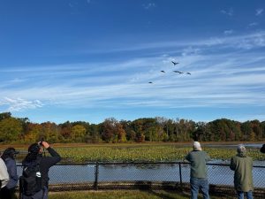 Image of foilage covered lake with a flock of geese flying in the sky while a group observes with binoculars