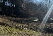 Image of trees and planted hillside with sun rays