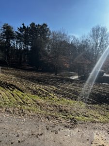 Image of trees and planted hillside with sun rays