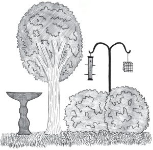 Black and white pencil sketch of a backyard with trees, a bird bath, and bird feeders.