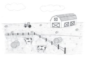 Black and white pencil sketch of a pasture area on a farm.