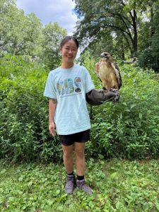 Eileen Chen holding Red Tailed Hawk on glove 