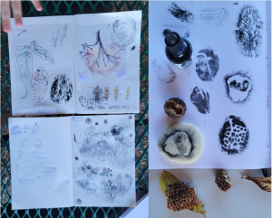 Image of hand drawn layout of a design with trees, leaves, and other natural materials. This is alongside of the finished print