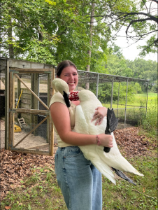 Bella Oliva holding a Trumpeter Swan.